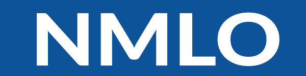 nmlo.sapartners.site